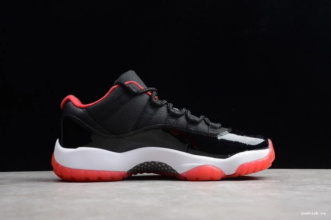 Chep Onekick  mens 11 Air 
